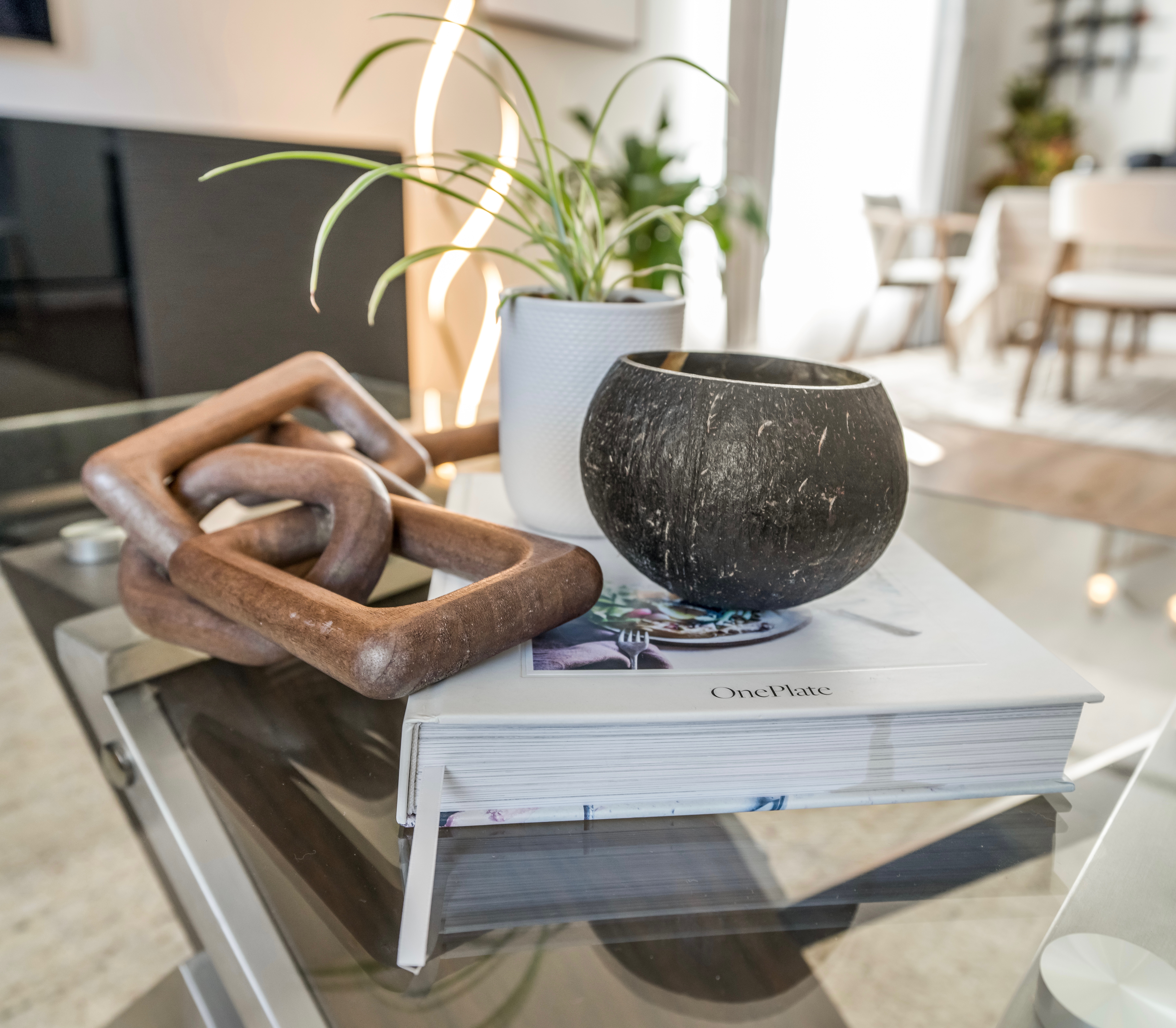 Styled tabletop with chains, a book, and a pot-plant.